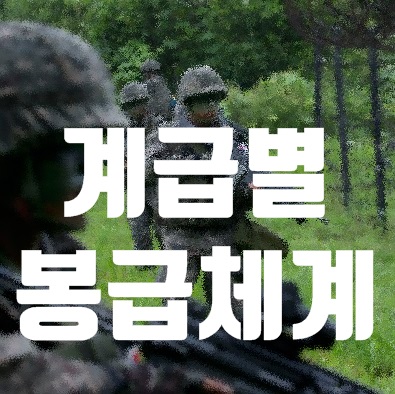 2020년 군인 봉급표