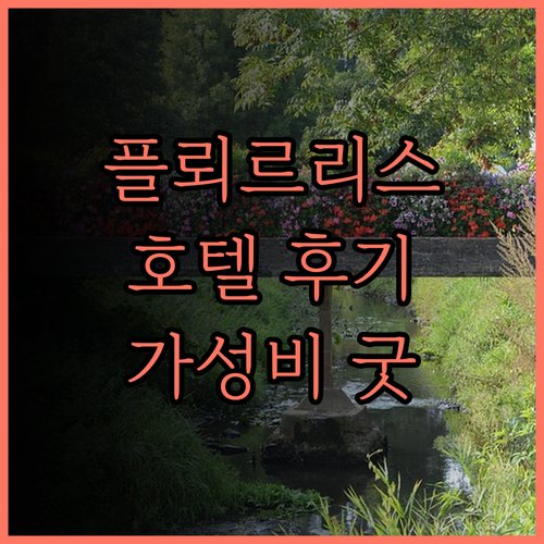 플뢰르리스 호텔 후기 넓고 쾌적한 객