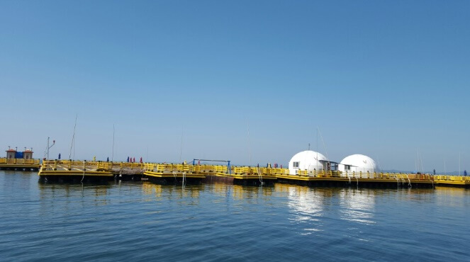 천수만해상낚시