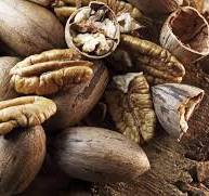 귀에 좋은 음식