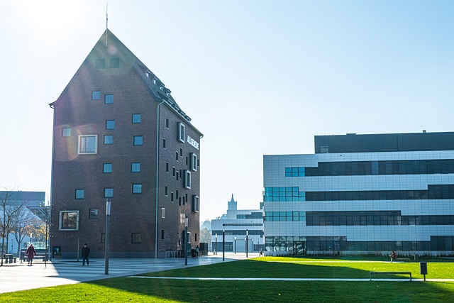 교환학생이 경함하는 한국문화 캠퍼스