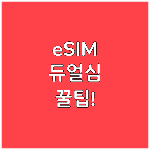 스마트폰 eSIM 듀얼심 활용 방법 ..