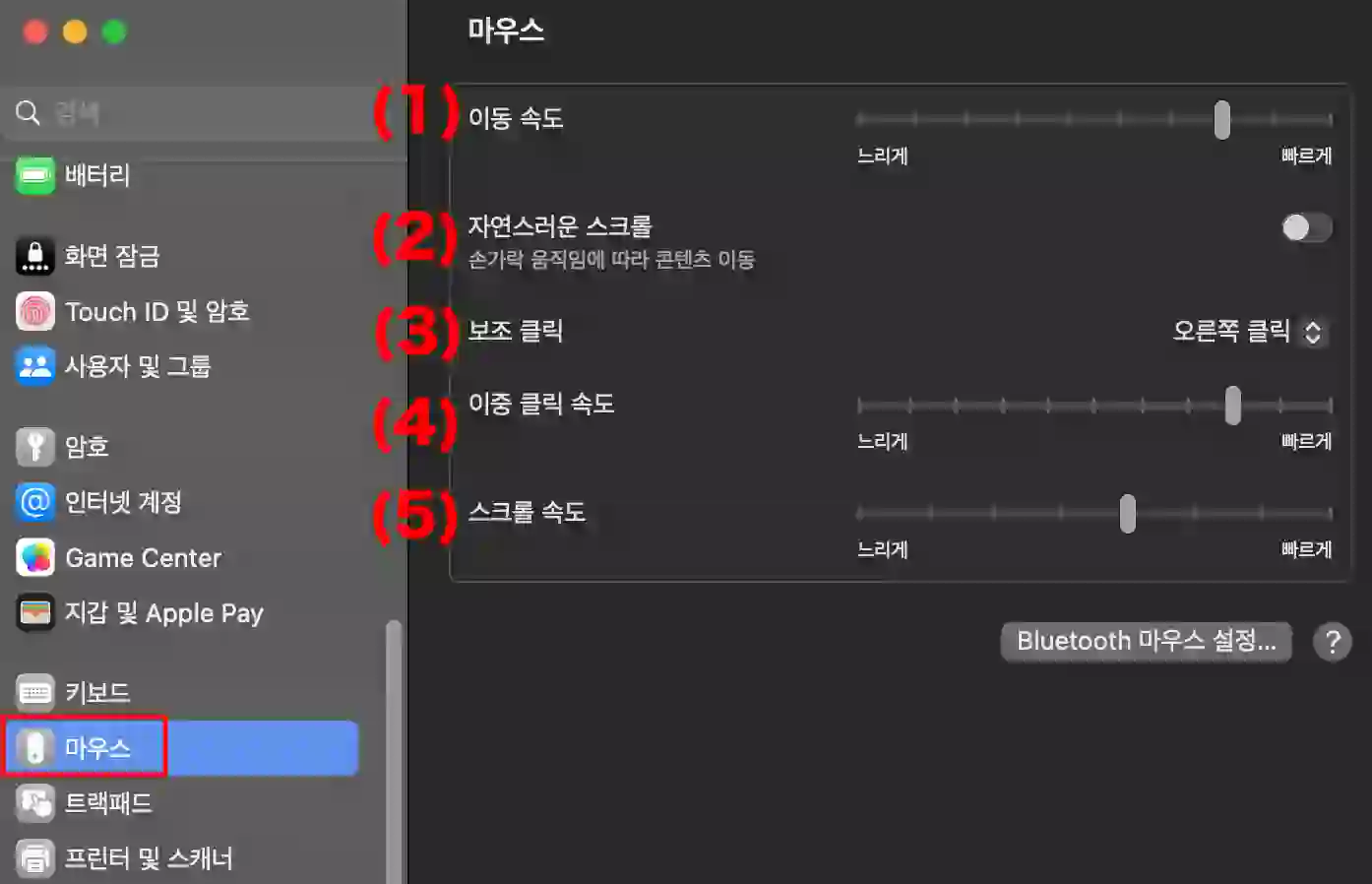 맥북 마우스 설정 탭에서 설정할 수 있는 방법 5가지