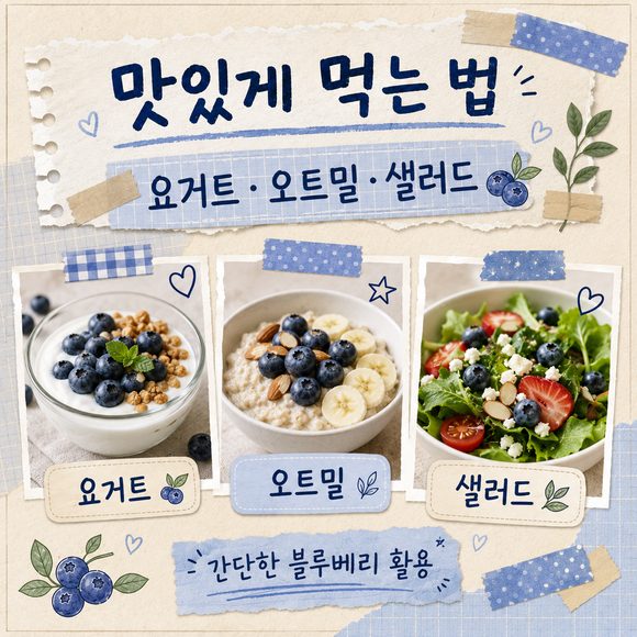 블루베리 효능