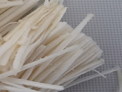 팽이버섯 사진30