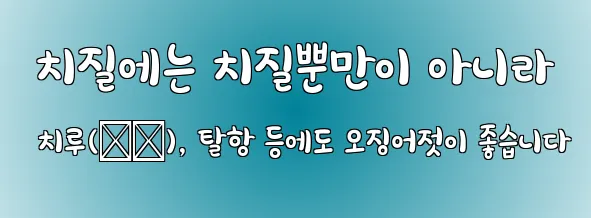  치질에는 치질뿐만이 아니라 치루(痔漏), 탈항 등에도 오징어젓이 좋습니다