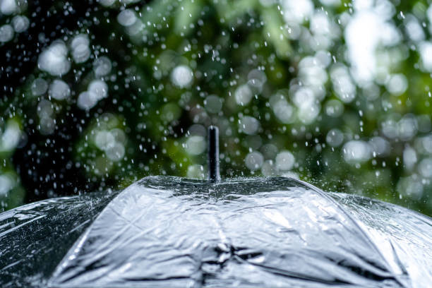 장마 기간 동안 날씨 정보