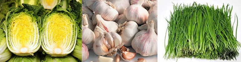 가을에 심어 겨울철과 이른 봄에 수확할 수 있는 농작물 심는법 - 배추, 마늘, 부추