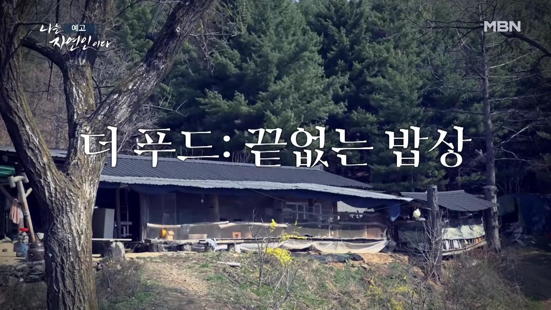 나는 자연인이다 중국집 갈비집 고기집 수타 콩 짜장면 두부 멘보샤 이 맛에 산에 살지요 자연인 조춘행 소개 및 이승윤 출연 550회 다시보기