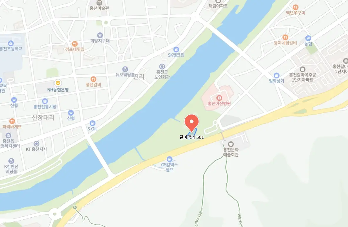 홍천사과축제
