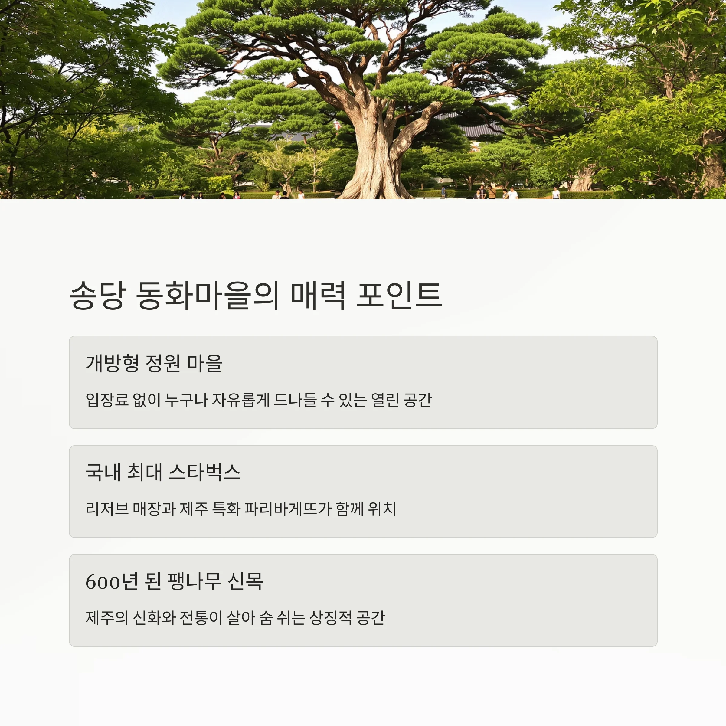 제주 동쪽 힐링 여행의 중심, 송당 동화마을
