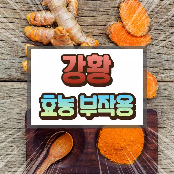 강황 효능 부작용