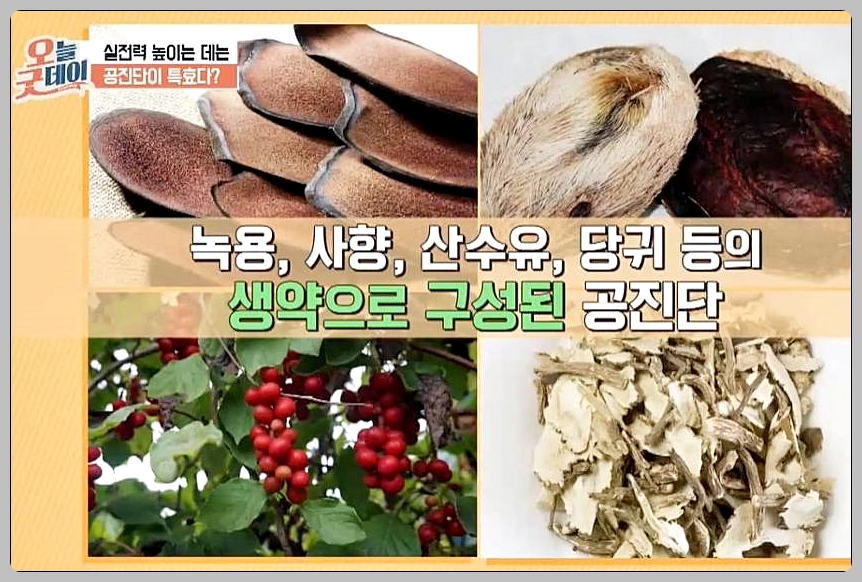 공진단 가격 효능 총정리