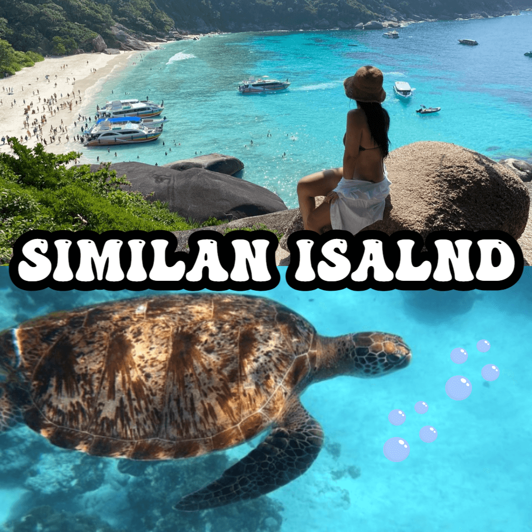 푸켓-시밀란-투어