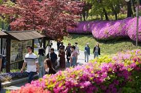 2024년 청남대 영춘제 기본일정과 프로그램 예매 방법 정리