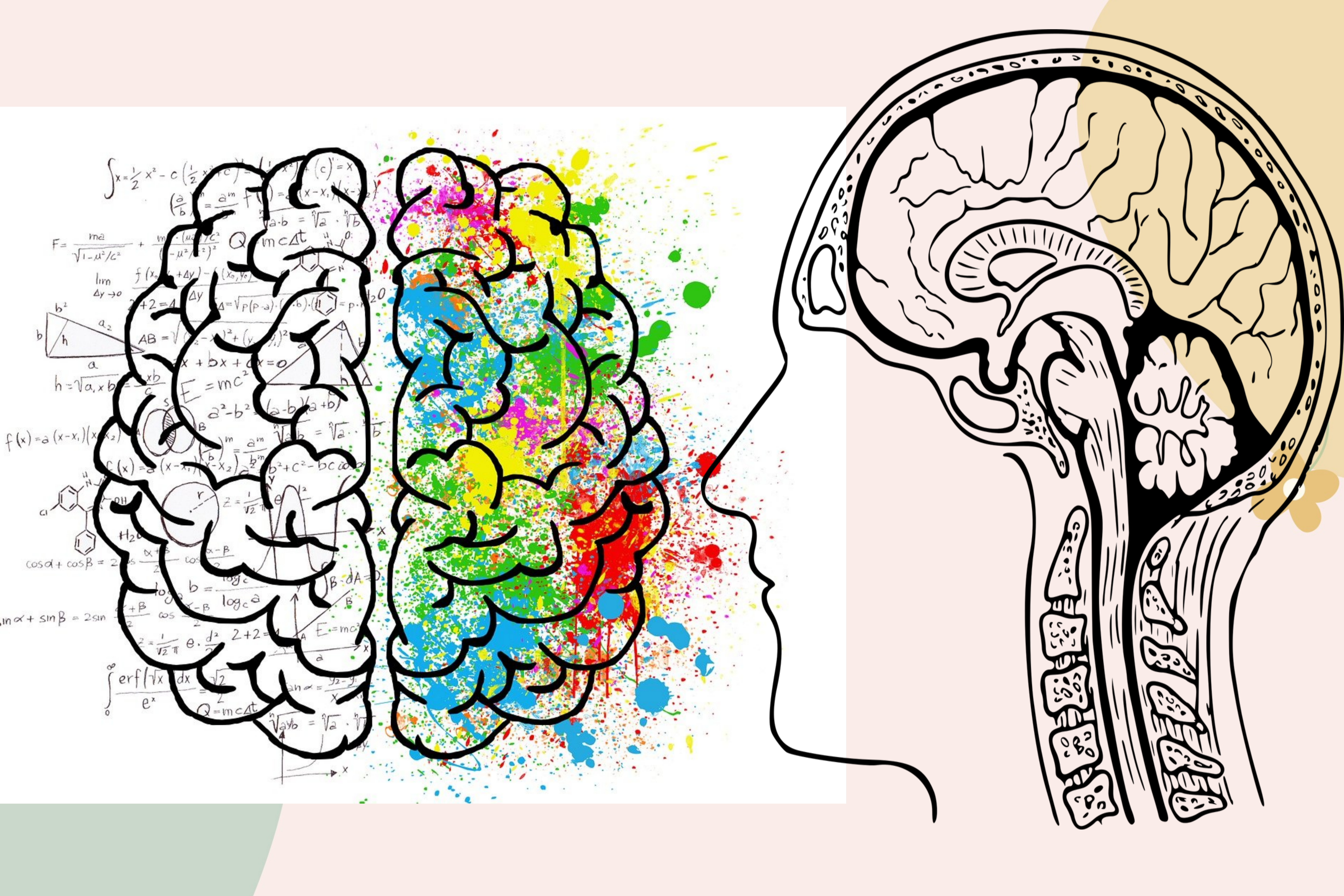 뇌모양, 뇌종양. 뇌구조