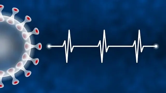 면역세포와 피부: 피부장벽 면역의 방어 전략&mdash; 우리 몸의 가장 넓은 면역기관, 피부의 면역 시스템을 해부하다 &mdash;