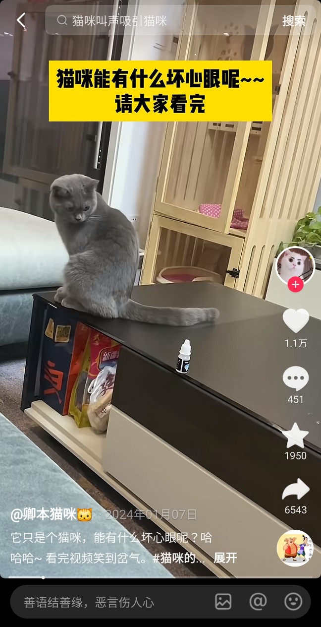 중국어로 고양이 猫