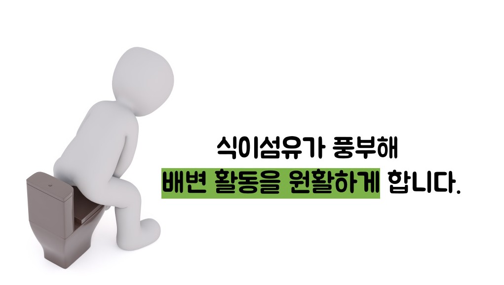 아보카도 효능