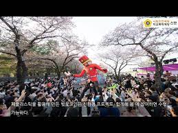 제 2회 남대천 벚꽃축제 기본일정과 프로그램 소개