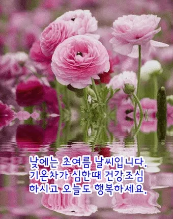 아침 인사 문자 날씨 변화에 맞춘 안부 문장 하루를 여는 표현_7