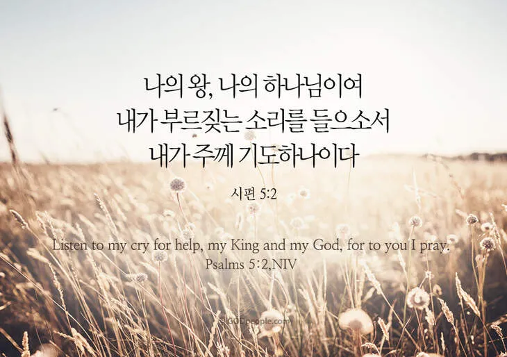 시편 5장 3절 읽기 - 여호와여 아침에 주께서 나의 소리를 들으시리니 아침에 내가 주께 기도하고 바라리이다_4