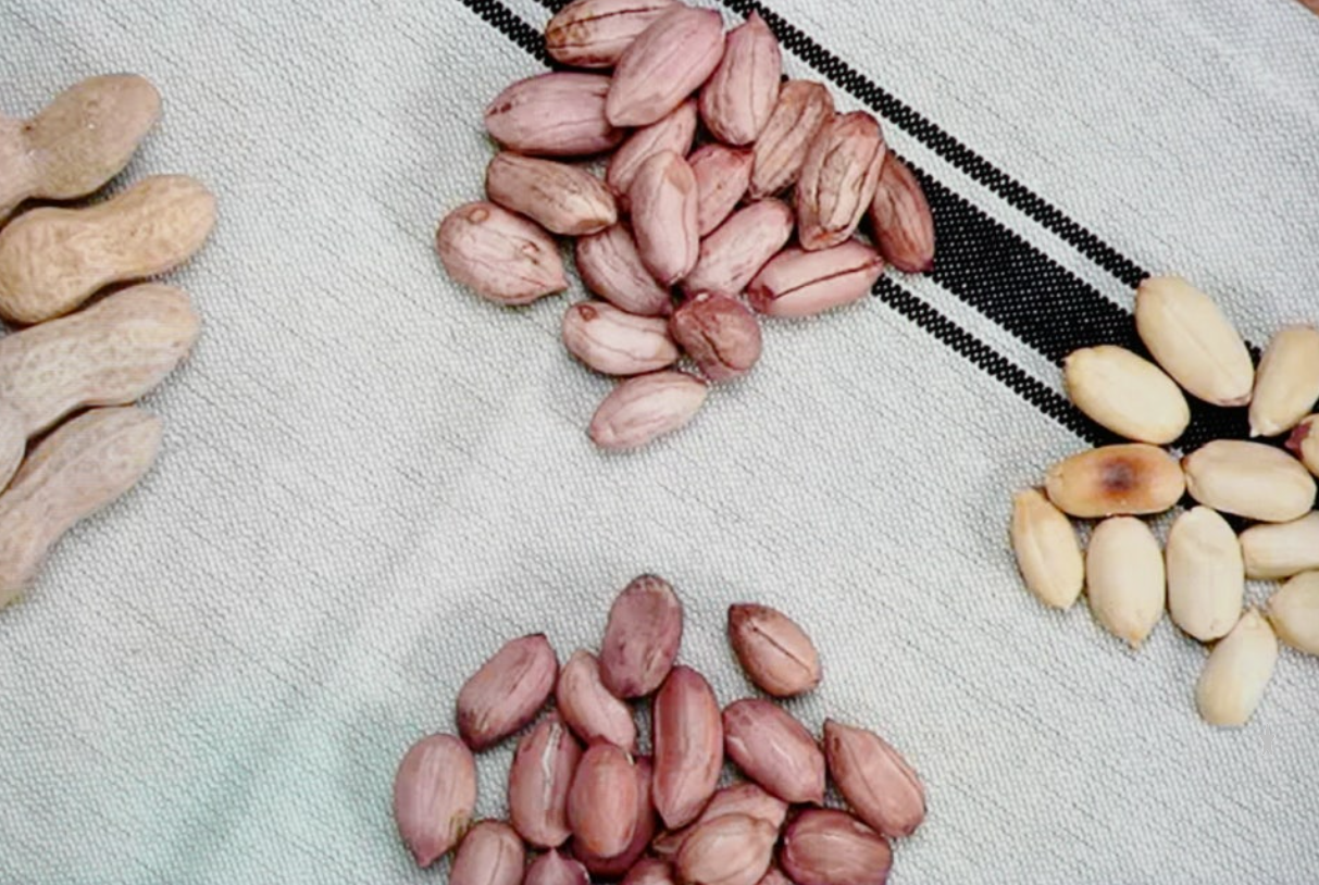 밭에서 나는 우유? 땅콩 효능 5가지와 하루 권장량 정리