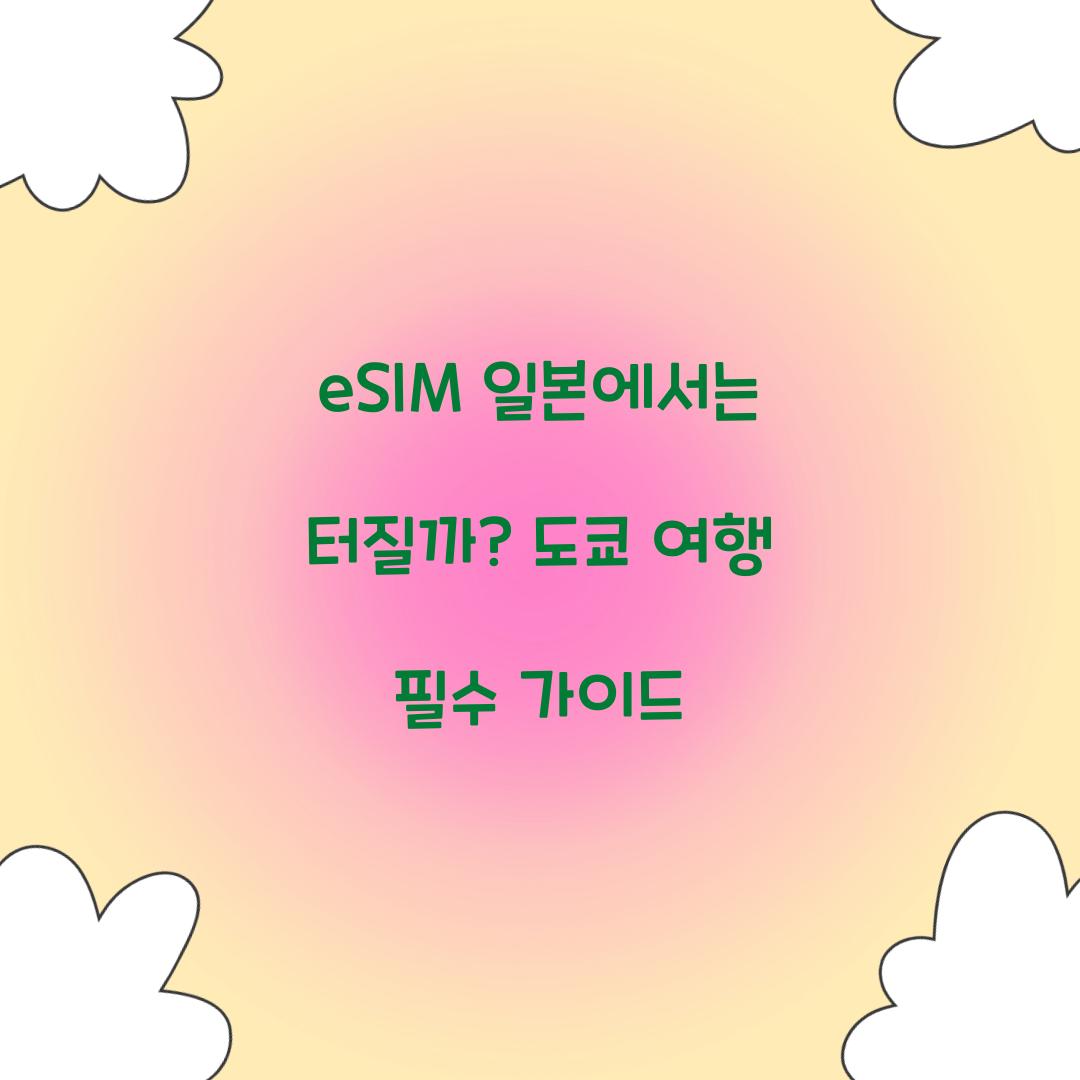 eSIM 일본에서는 터질까