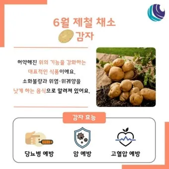 여름 준비는 건강한 식탁에서 6월 제철 음식 리스트 완벽 총정리_8
