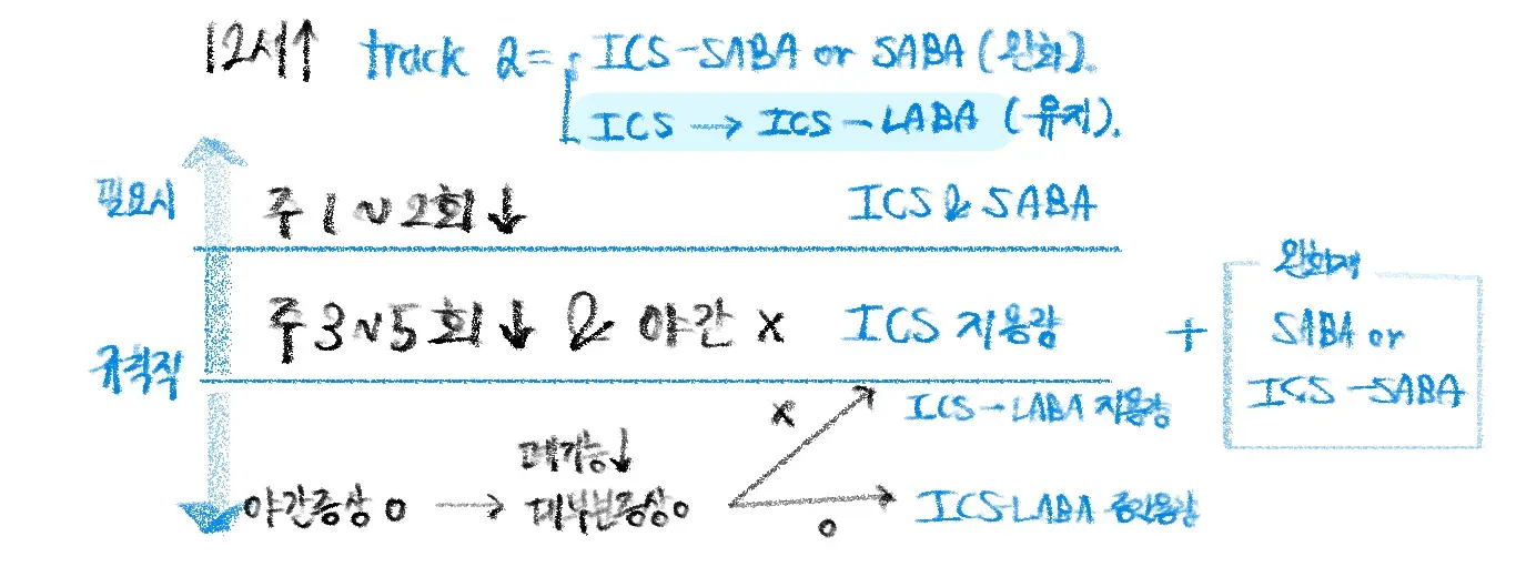 12세 이상 천식치료 Track 2