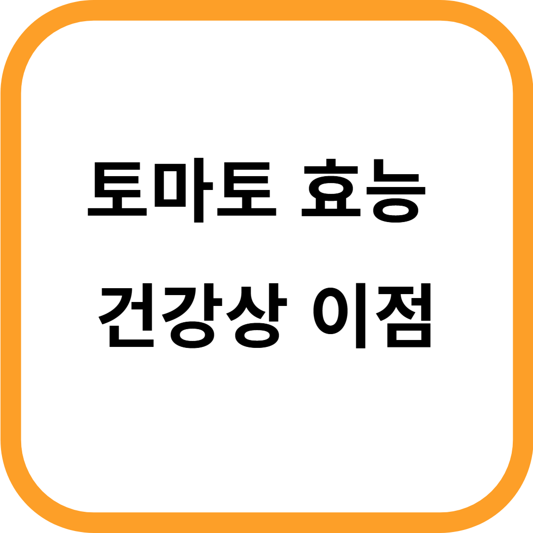 토마토 효능
