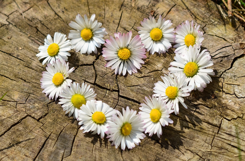 자신이 경험한 근거로 믿음을 만들어낸다.