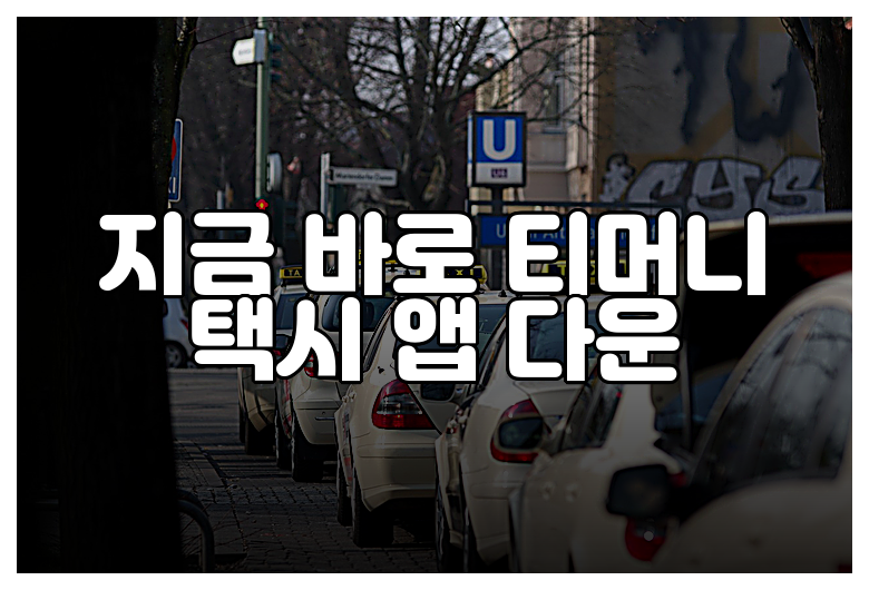 지금 바로 티머니 택시 앱 다운