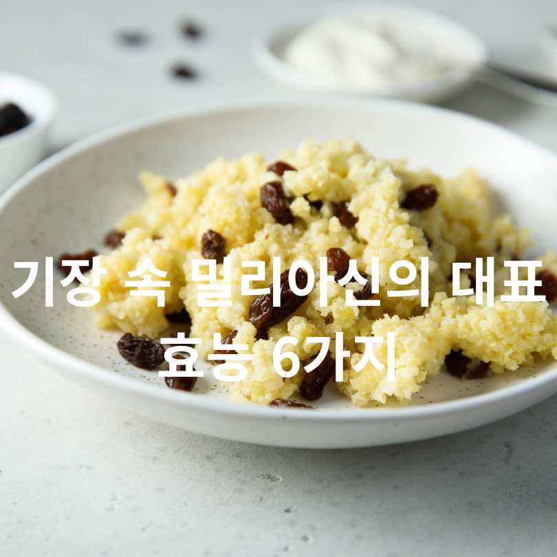 기장 속 밀리아신 효능 완벽 분석