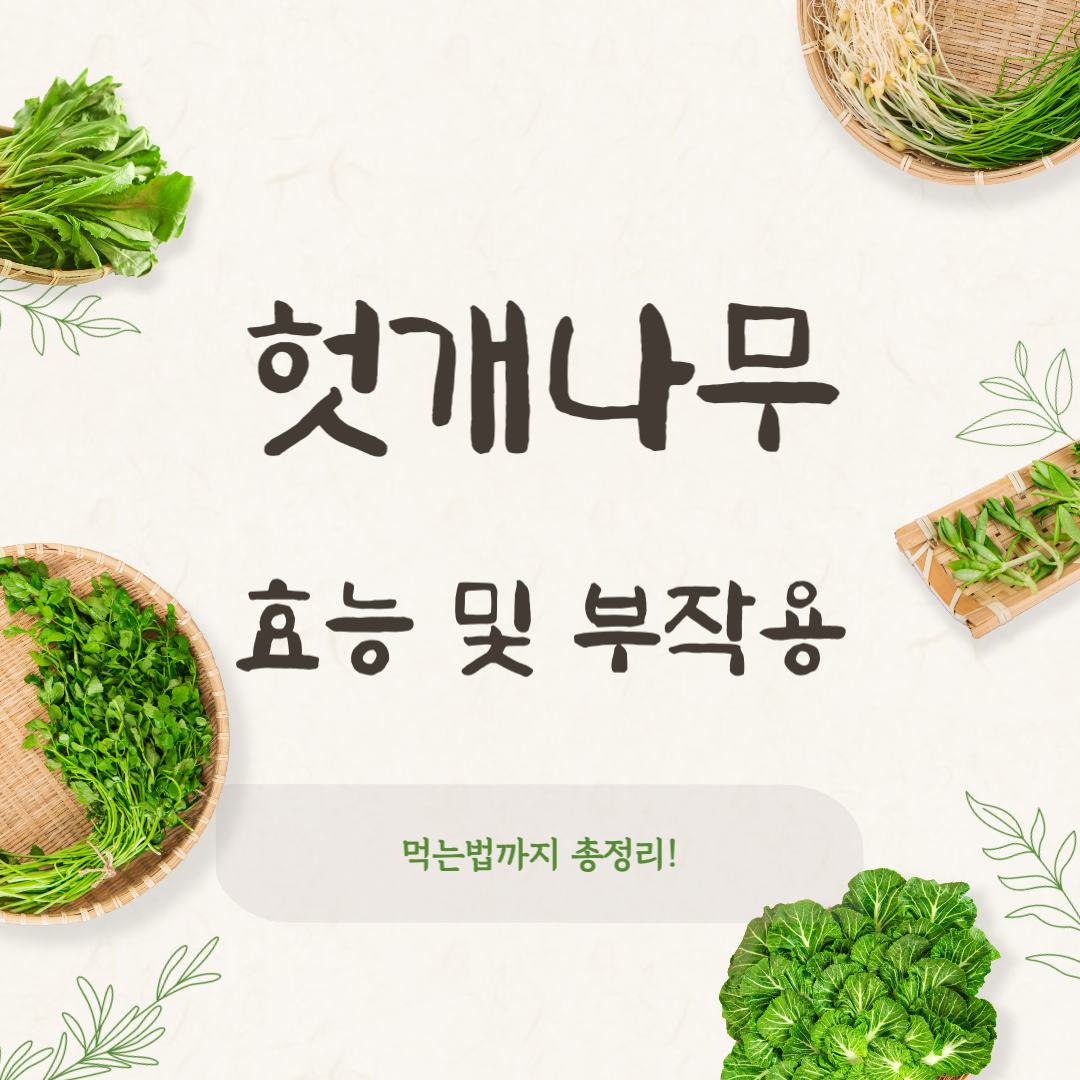 헛개나무 효능 부작용 간에 좋은 헛개차