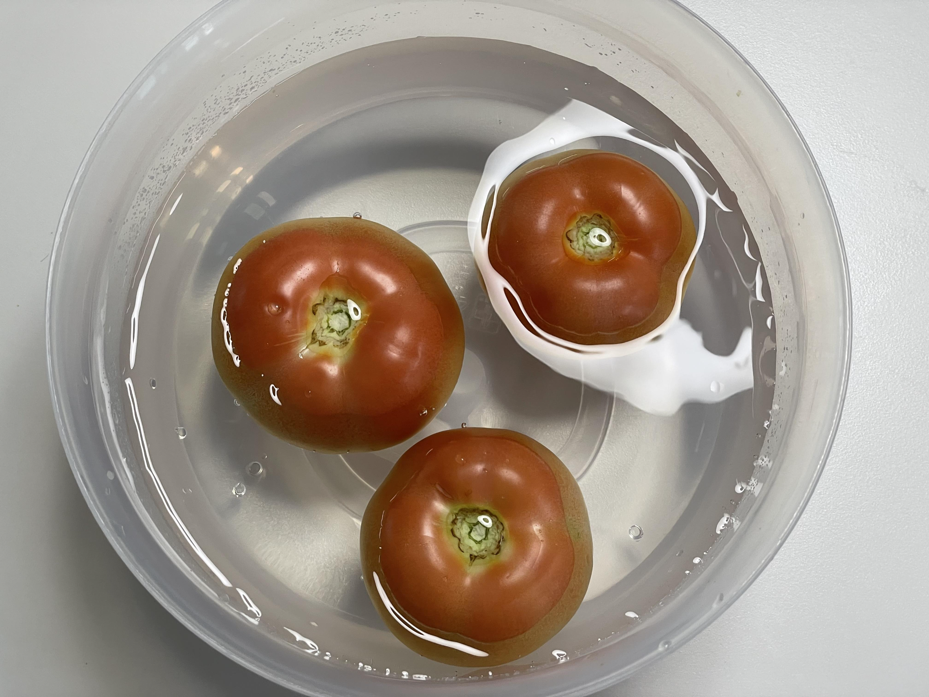 중기 후기 이유식 토마토 큐브