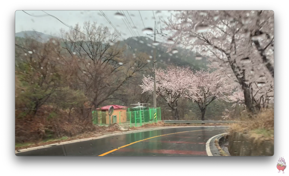 맥용 무료 동영상 플레이어 추천 IINA 이너 다운로드 홈페이지