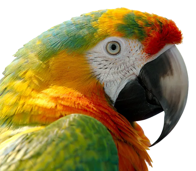 가냘픈 갸날픈 맞춤법 뜻 의미 사용법_3