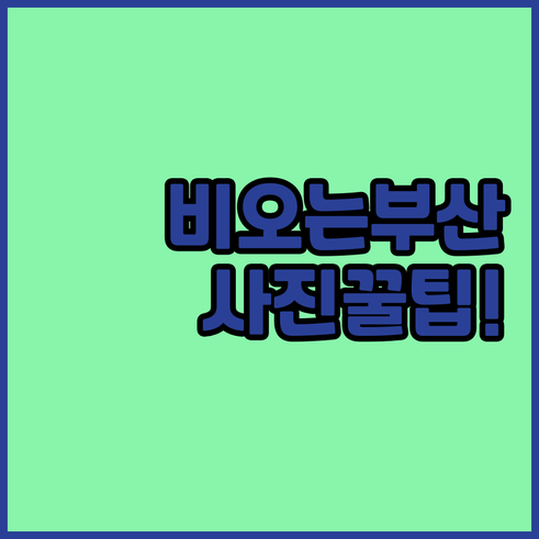 부산 비 오는 날 여행 코스 청사포 ..