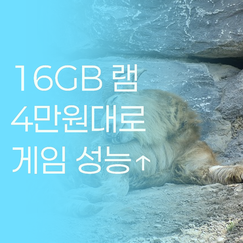 데스크탑 램 16GB, 4만원대로 게..
