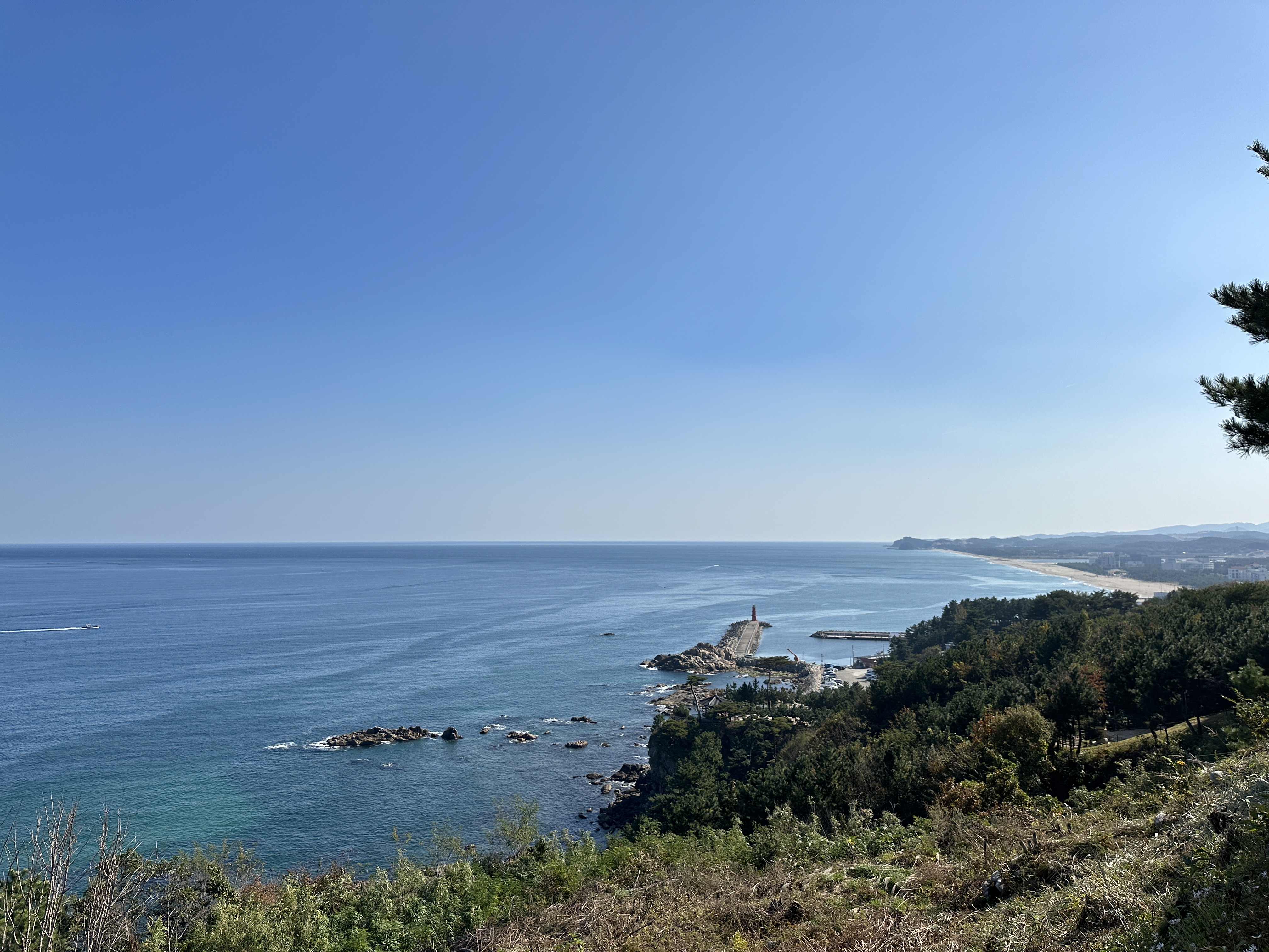 낙산사에서 내려다보는 동해바다