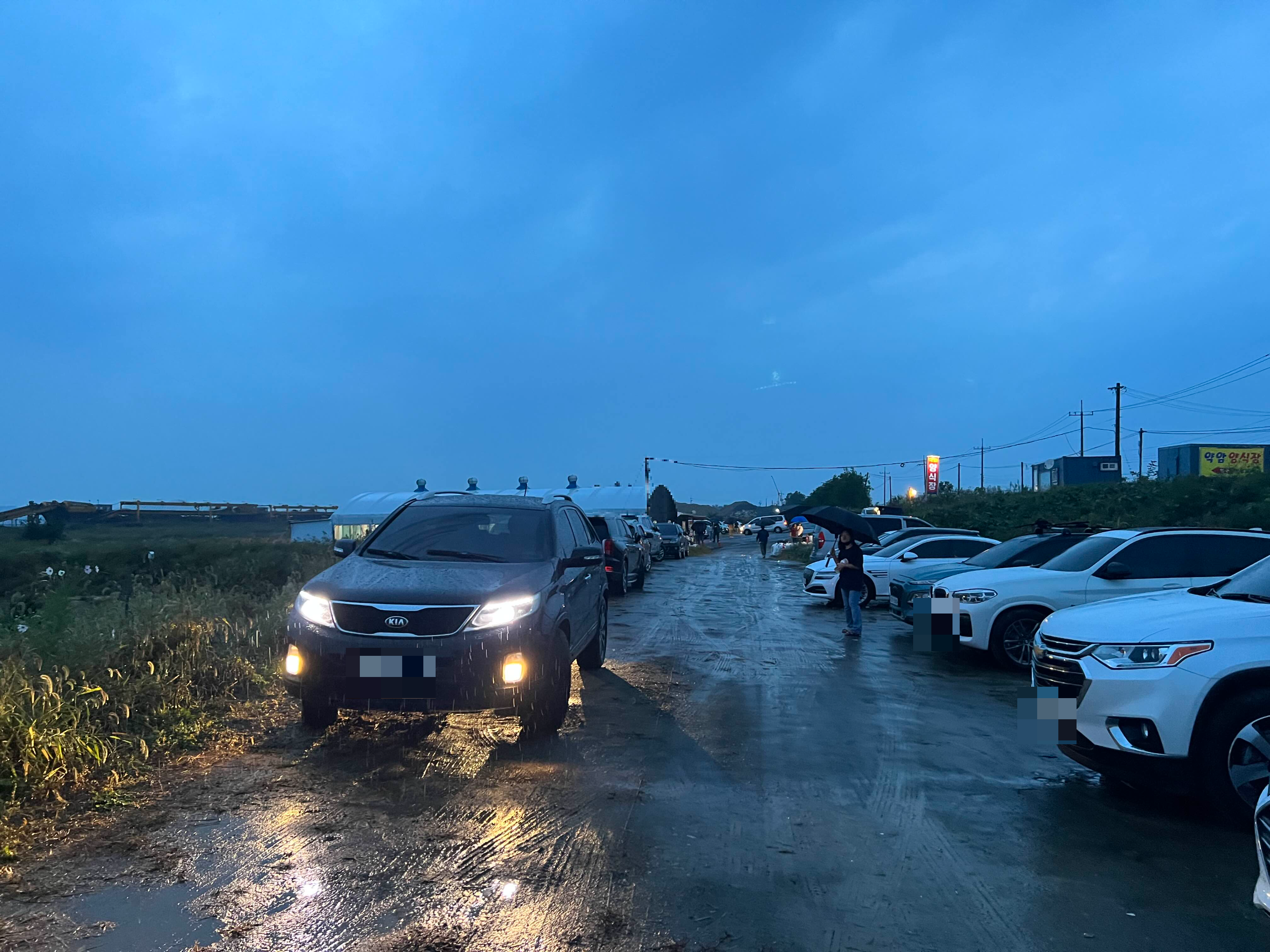 약암 새우 양식장 주차장 왕새우 싼 곳 약암양식장 주차