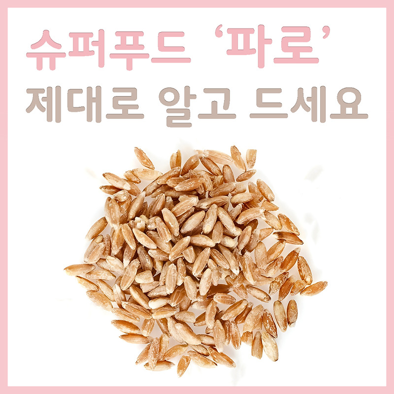 파로-효능