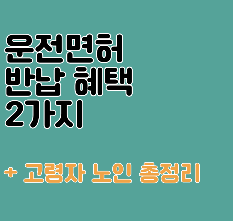 운전면허 반납 혜택