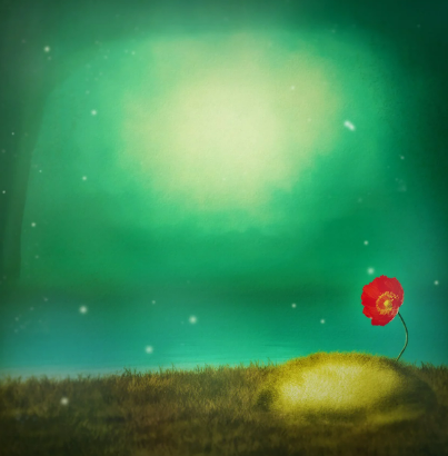 2025년 화담숲 반딧불이 이벤트