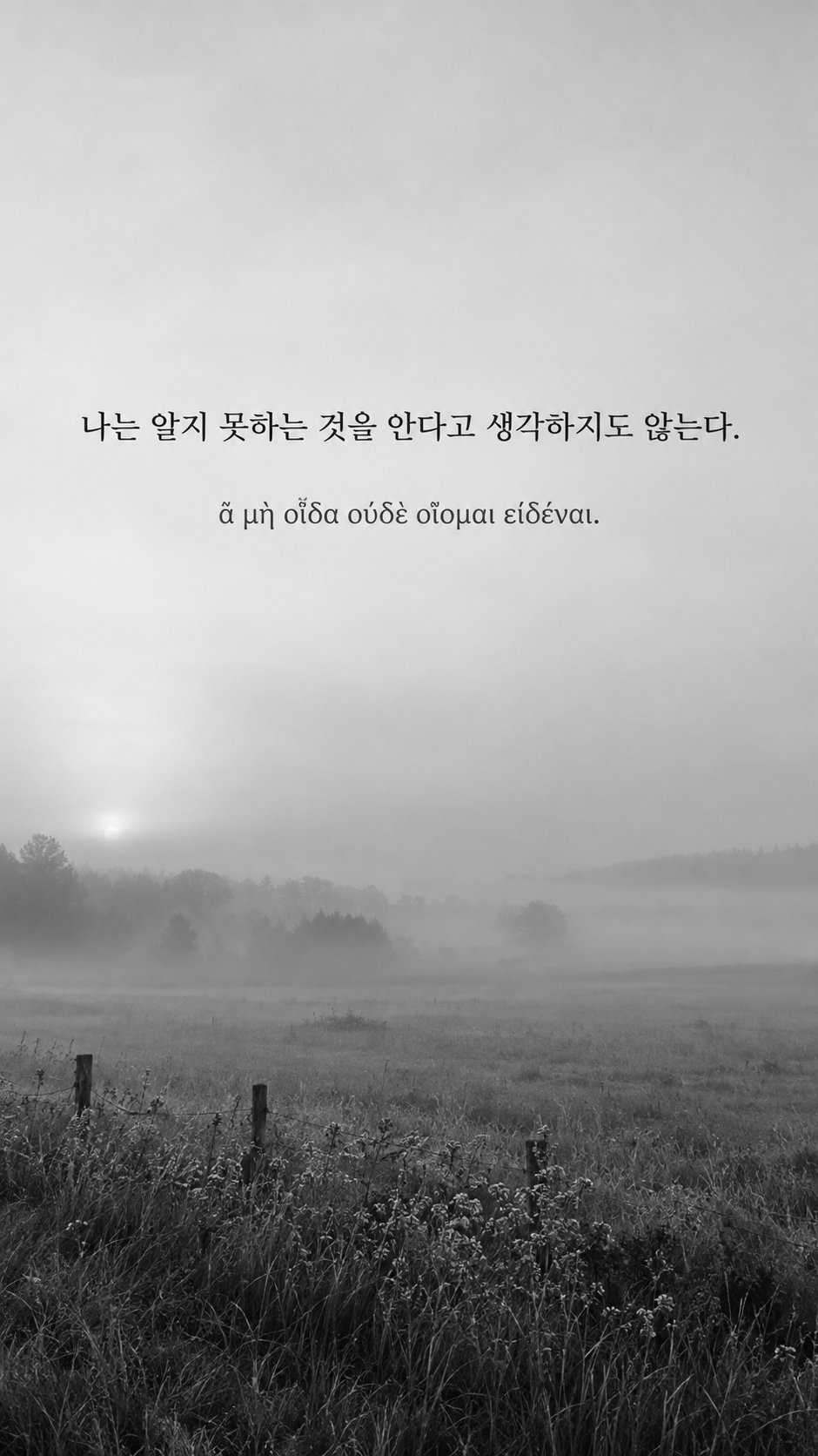 플라톤 명언 22 나는 알지 못하는 것을 안다고 생각하지도 않는다. 안개에 가려진 빈 들판 배경의 한글·그리스어 세로 이미지