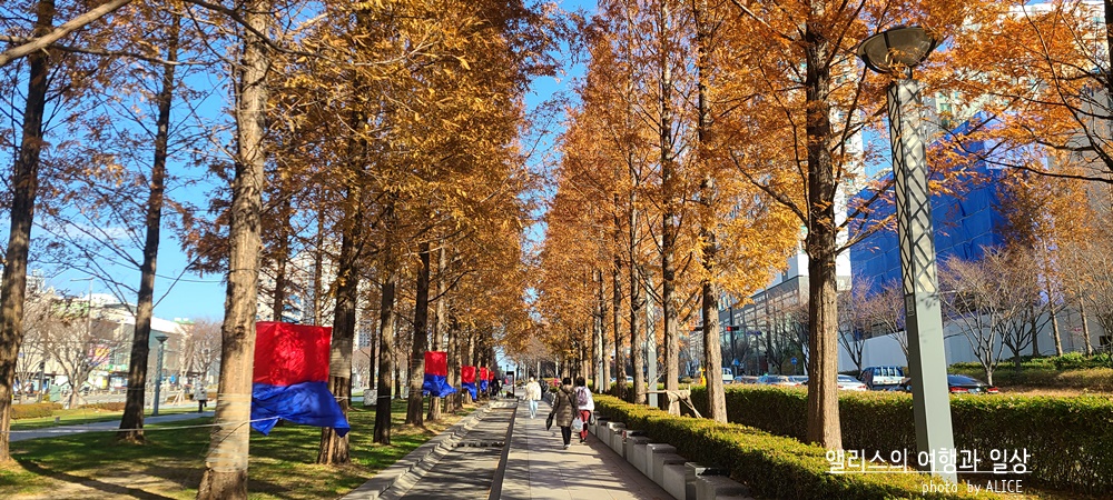 부산 신신호텔 서면 주변 가볼만한곳 BEST 8 송상현 광장