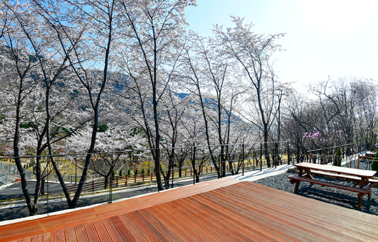 진주 월아산자연휴양림