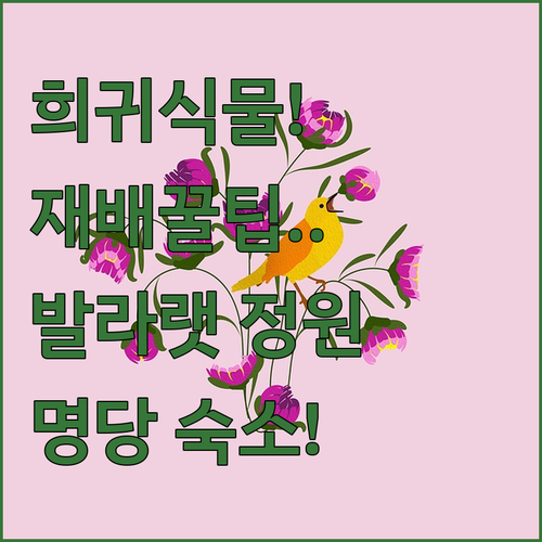 희귀 식물 키우기 가이드와 발라랫 정..