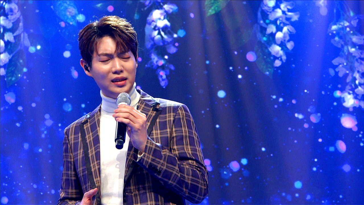 옥정호 벚꽃축제